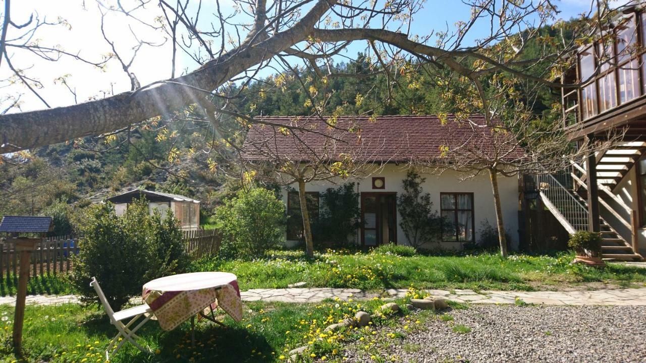 Appartamento Casa Turreta Ansó Esterno foto